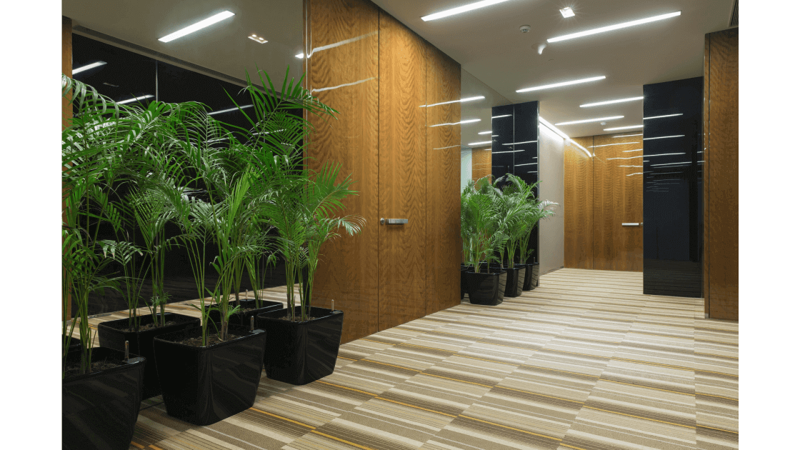 Topworth Office project view